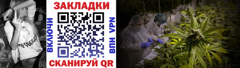 Где можно купить наркотики Новосиль Псилоцибиновые грибы Мефедрон Codein МЕТАДОН APVP COCAIN