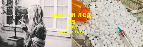 индика Алексин