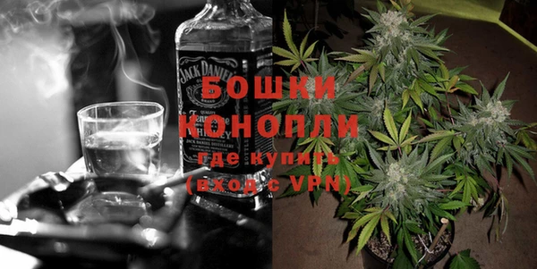 индика Алексин