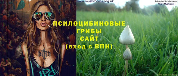 молекула духа Алексеевка
