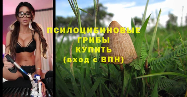 каннабис Алзамай