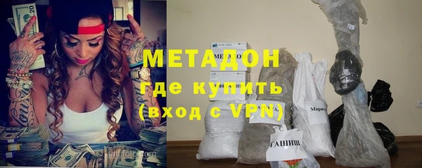 индика Алексин
