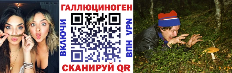 цена наркотик  Новосиль  Псилоцибиновые грибы Magic Shrooms 